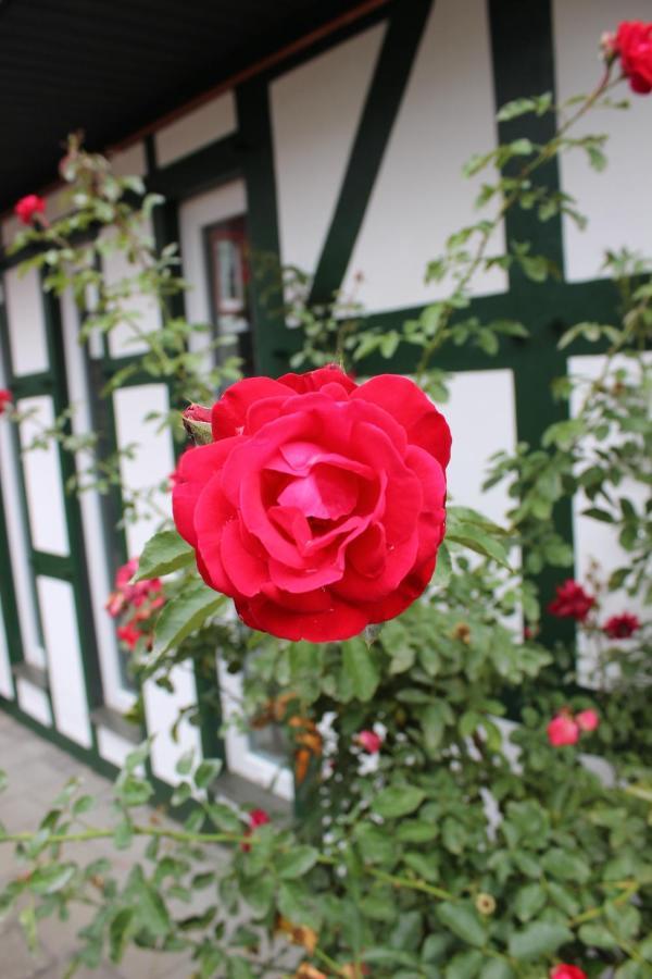 Gemuetliches Fachwerkhaus Im Herzen Nideggens Exterior foto